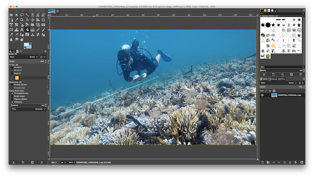 MarineGEO Diver, Bocas del Toro, Panama